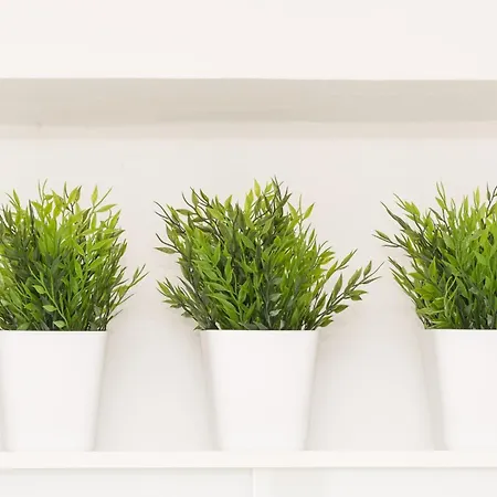 Pensión House Ariva 3*