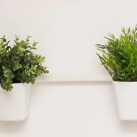 House Ariva Dubrownik