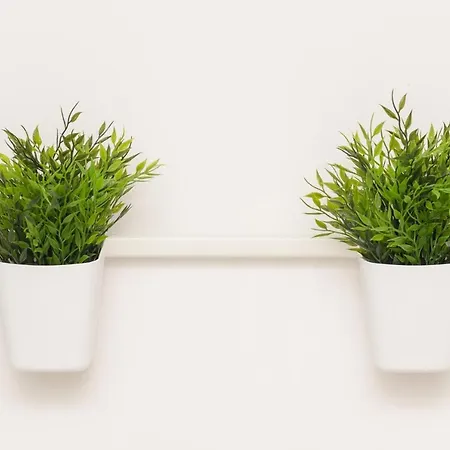招待所 House Ariva 杜布罗夫尼克